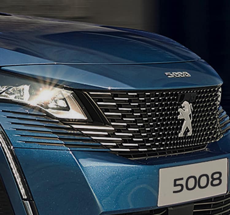 Peugeot 5008 frameless radiator grille